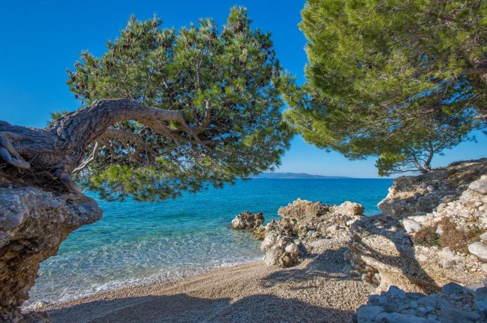 Penzión pre hostí Kovacic Makarska